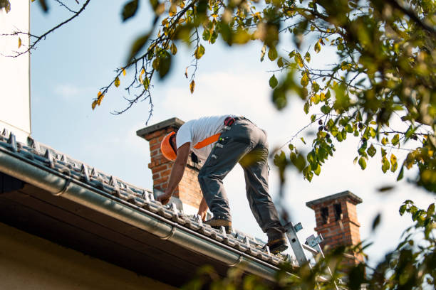 Steel Roofing in Sweet Springs, MO